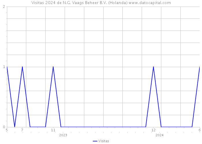 Visitas 2024 de N.G. Vaags Beheer B.V. (Holanda) 