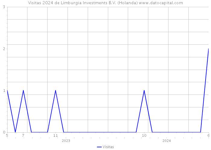 Visitas 2024 de Limburgia Investments B.V. (Holanda) 