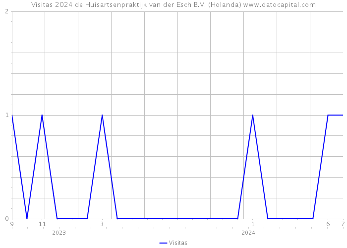 Visitas 2024 de Huisartsenpraktijk van der Esch B.V. (Holanda) 