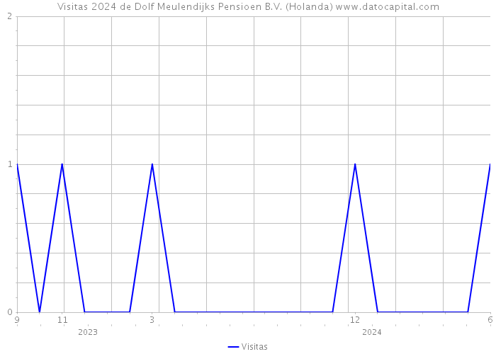 Visitas 2024 de Dolf Meulendijks Pensioen B.V. (Holanda) 