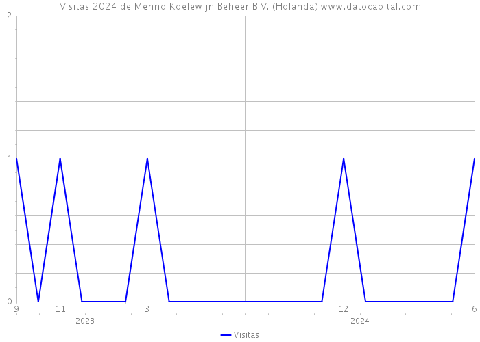 Visitas 2024 de Menno Koelewijn Beheer B.V. (Holanda) 