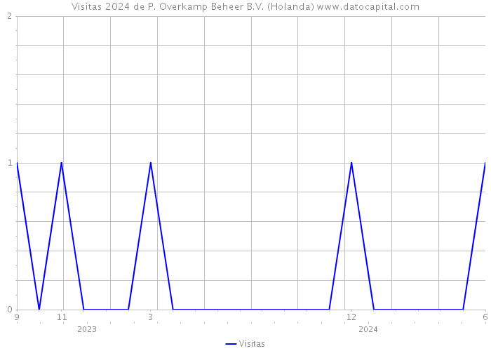 Visitas 2024 de P. Overkamp Beheer B.V. (Holanda) 