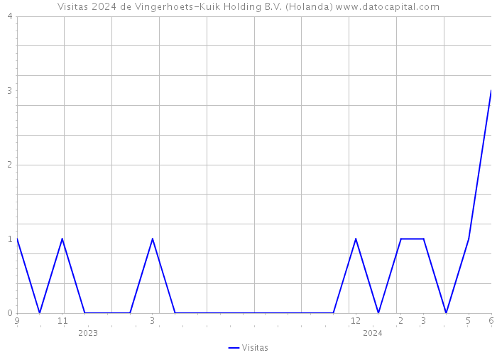 Visitas 2024 de Vingerhoets-Kuik Holding B.V. (Holanda) 