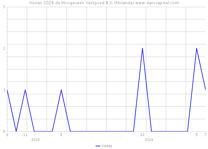 Visitas 2024 de Hoogeveen Vastgoed B.V. (Holanda) 