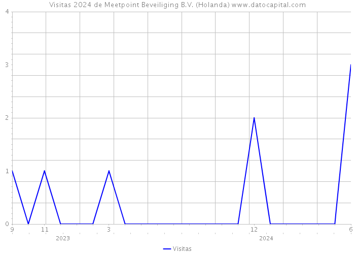 Visitas 2024 de Meetpoint Beveiliging B.V. (Holanda) 