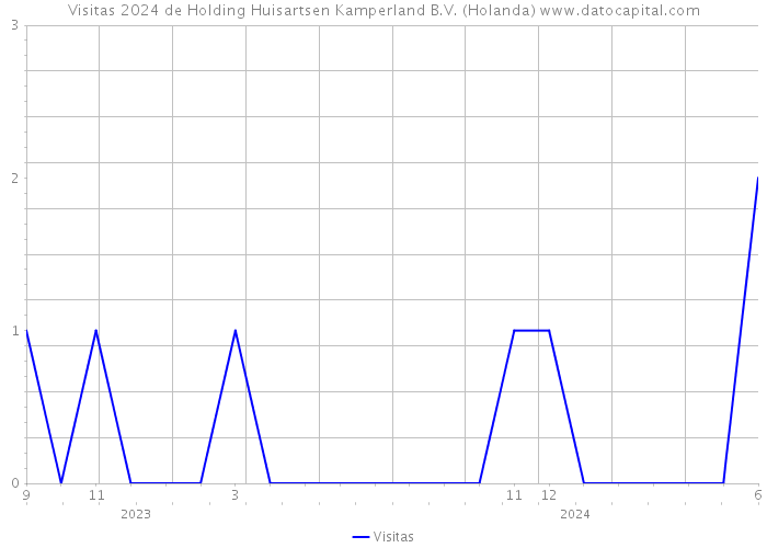 Visitas 2024 de Holding Huisartsen Kamperland B.V. (Holanda) 