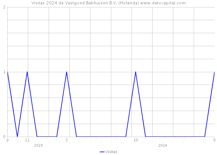 Visitas 2024 de Vastgoed Bakhuizen B.V. (Holanda) 