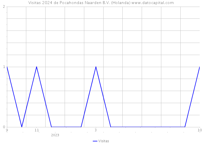 Visitas 2024 de Pocahondas Naarden B.V. (Holanda) 