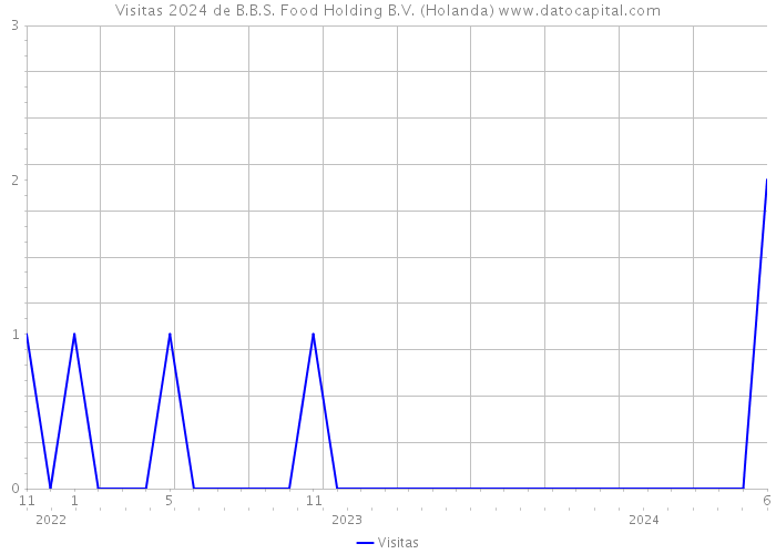 Visitas 2024 de B.B.S. Food Holding B.V. (Holanda) 