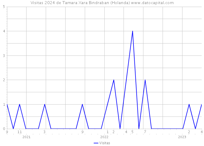 Visitas 2024 de Tamara Xara Bindraban (Holanda) 