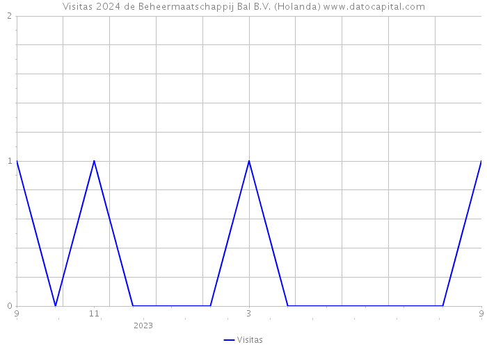 Visitas 2024 de Beheermaatschappij Bal B.V. (Holanda) 