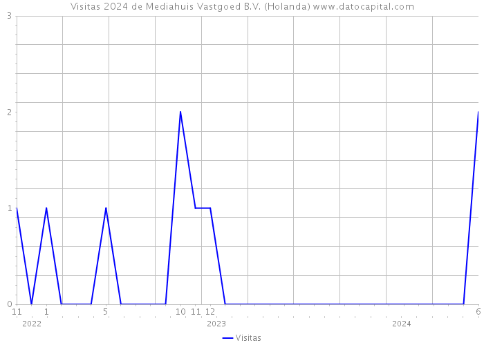 Visitas 2024 de Mediahuis Vastgoed B.V. (Holanda) 