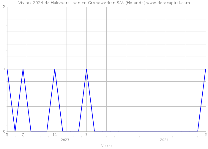 Visitas 2024 de Hakvoort Loon en Grondwerken B.V. (Holanda) 