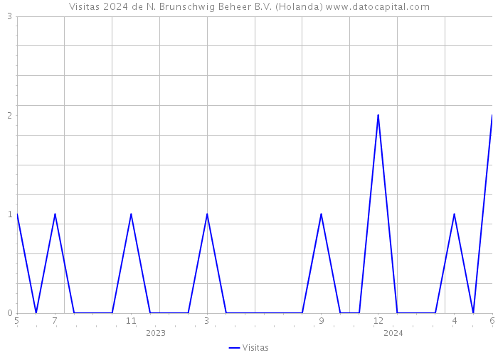 Visitas 2024 de N. Brunschwig Beheer B.V. (Holanda) 