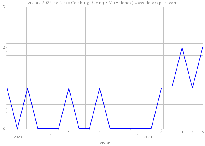 Visitas 2024 de Nicky Catsburg Racing B.V. (Holanda) 