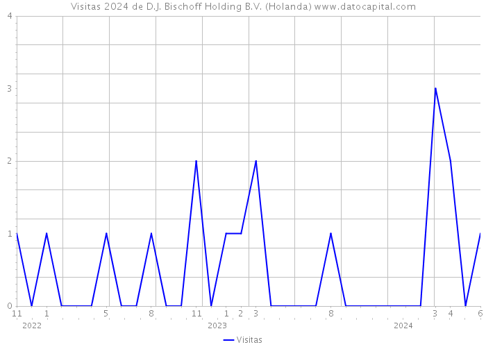 Visitas 2024 de D.J. Bischoff Holding B.V. (Holanda) 