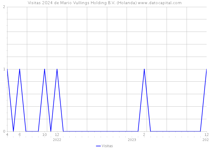 Visitas 2024 de Mario Vullings Holding B.V. (Holanda) 