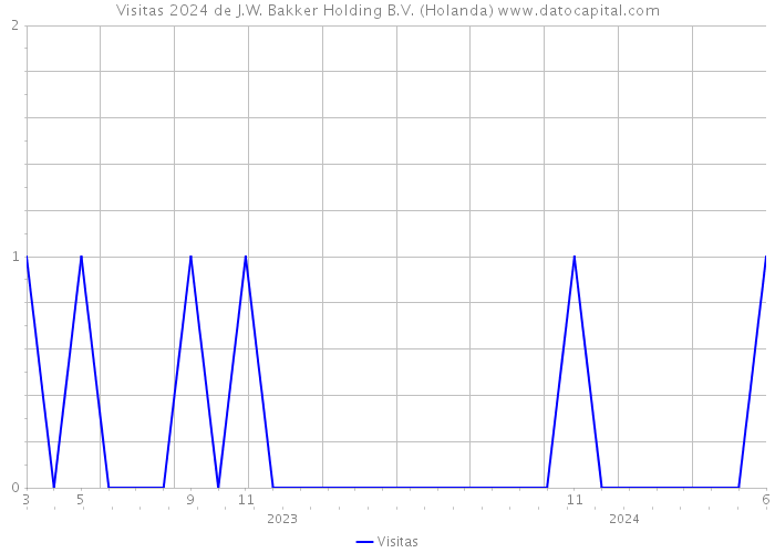 Visitas 2024 de J.W. Bakker Holding B.V. (Holanda) 