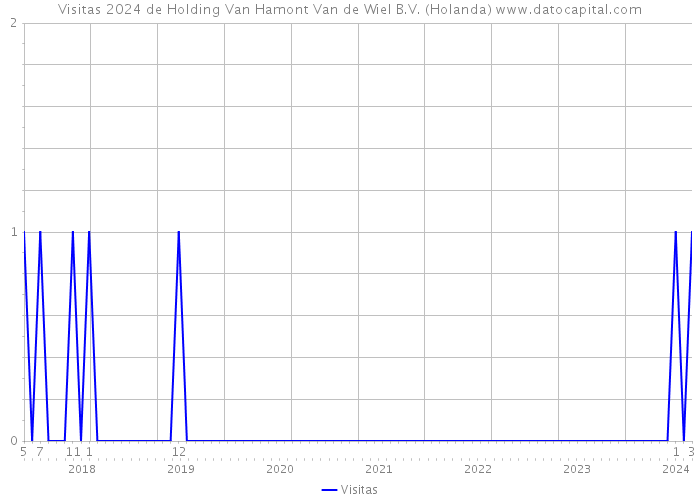 Visitas 2024 de Holding Van Hamont Van de Wiel B.V. (Holanda) 