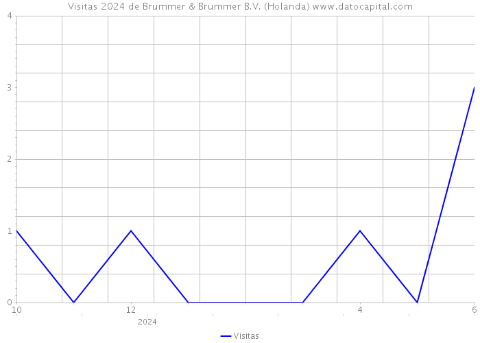 Visitas 2024 de Brummer & Brummer B.V. (Holanda) 