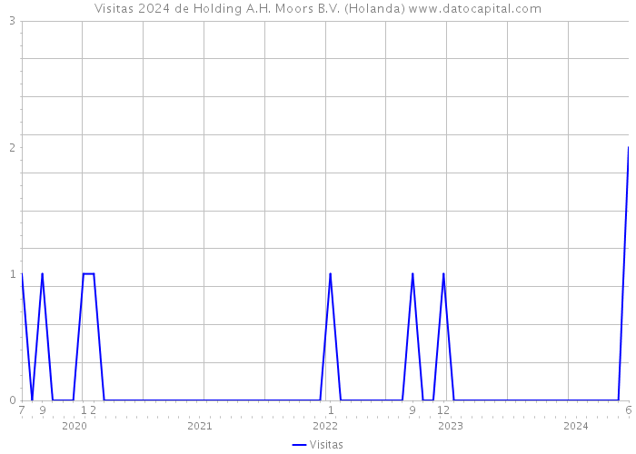 Visitas 2024 de Holding A.H. Moors B.V. (Holanda) 