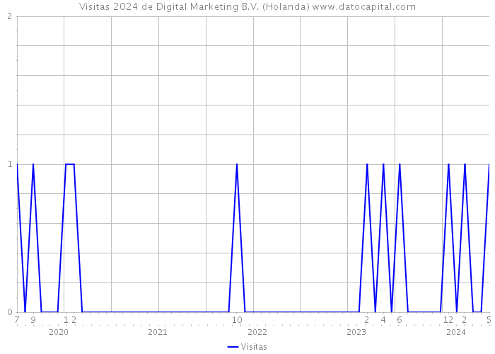 Visitas 2024 de Digital Marketing B.V. (Holanda) 