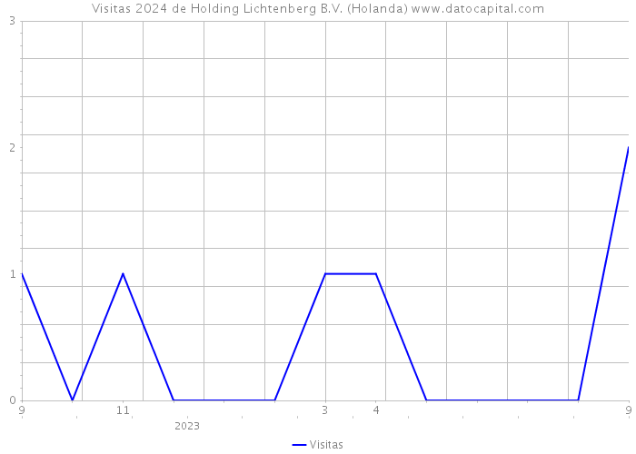 Visitas 2024 de Holding Lichtenberg B.V. (Holanda) 