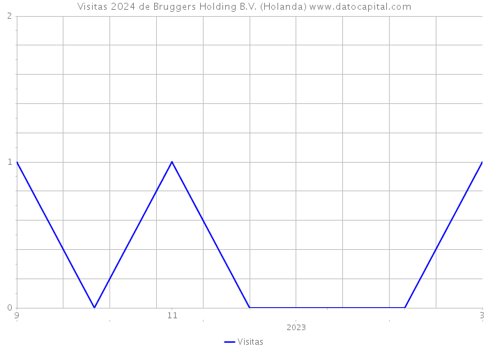 Visitas 2024 de Bruggers Holding B.V. (Holanda) 