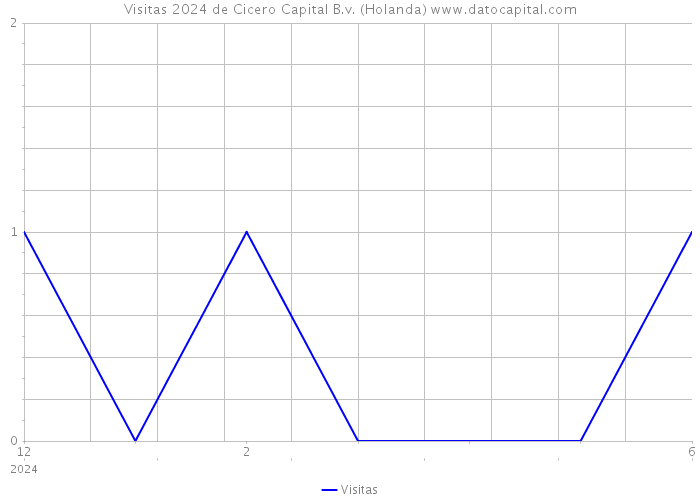 Visitas 2024 de Cicero Capital B.v. (Holanda) 