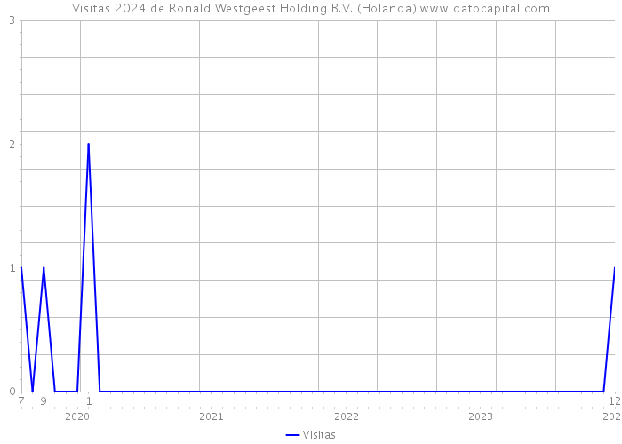 Visitas 2024 de Ronald Westgeest Holding B.V. (Holanda) 