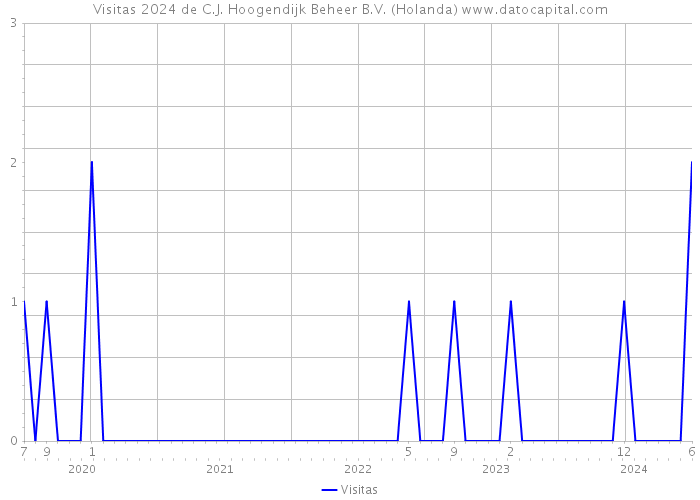 Visitas 2024 de C.J. Hoogendijk Beheer B.V. (Holanda) 