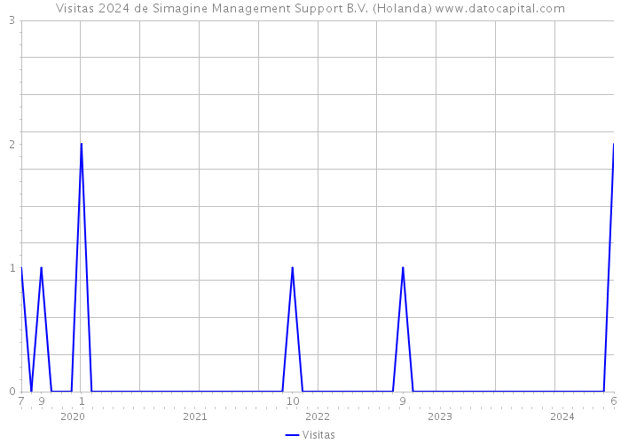 Visitas 2024 de Simagine Management Support B.V. (Holanda) 