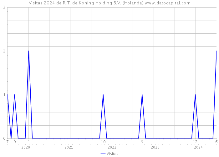 Visitas 2024 de R.T. de Koning Holding B.V. (Holanda) 