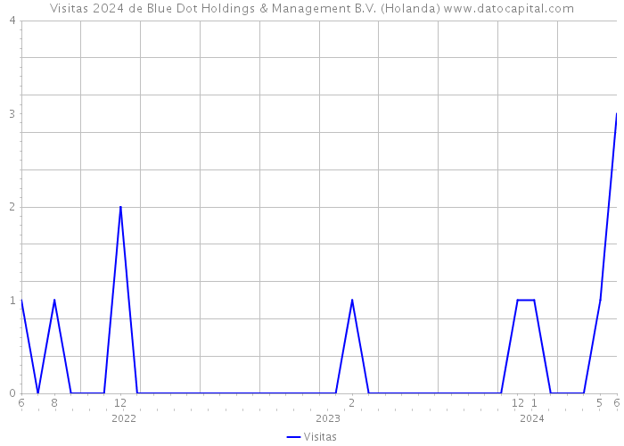 Visitas 2024 de Blue Dot Holdings & Management B.V. (Holanda) 