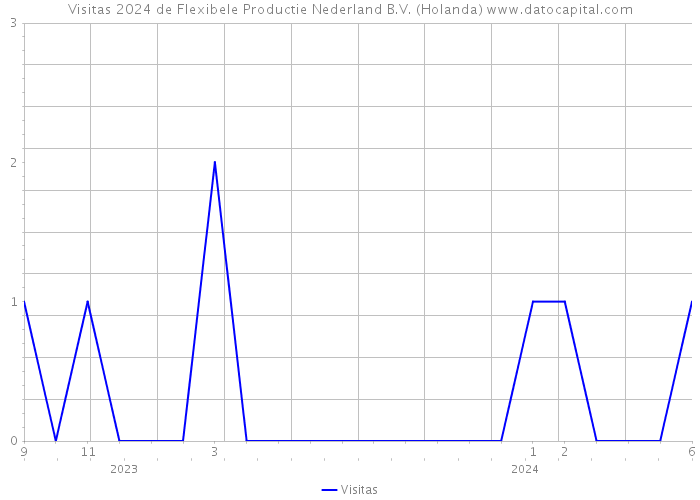 Visitas 2024 de Flexibele Productie Nederland B.V. (Holanda) 