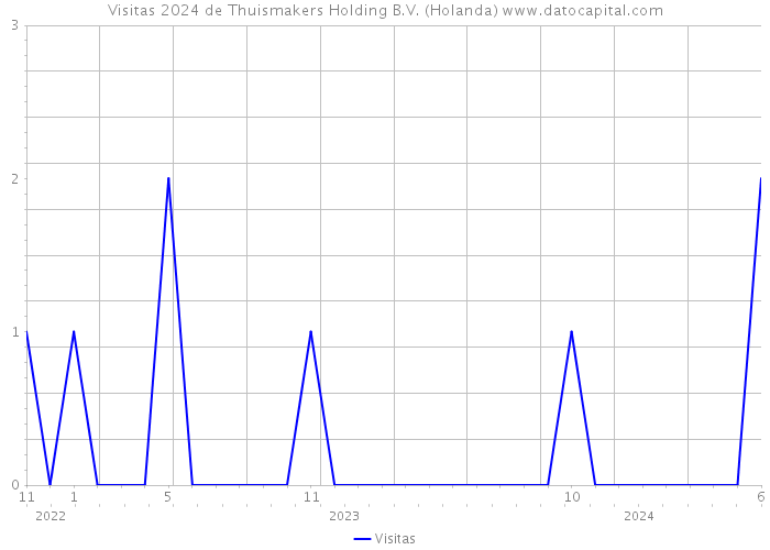 Visitas 2024 de Thuismakers Holding B.V. (Holanda) 