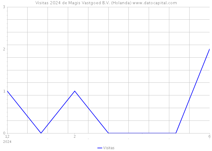 Visitas 2024 de Magis Vastgoed B.V. (Holanda) 