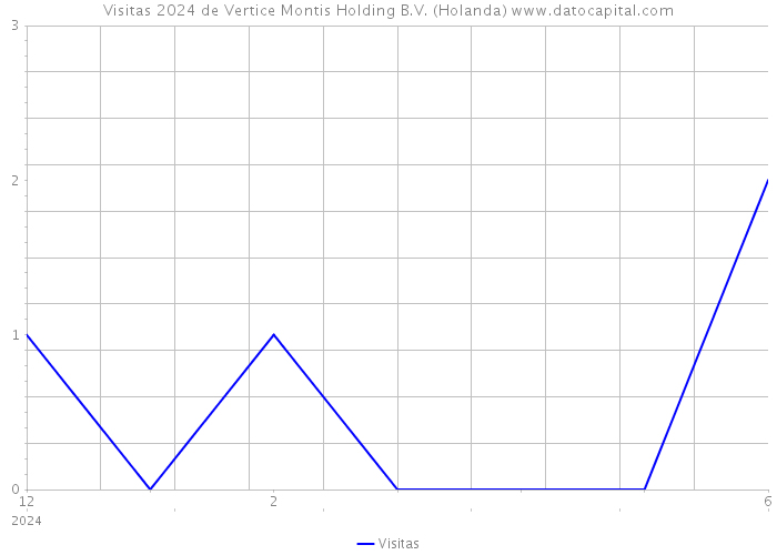 Visitas 2024 de Vertice Montis Holding B.V. (Holanda) 