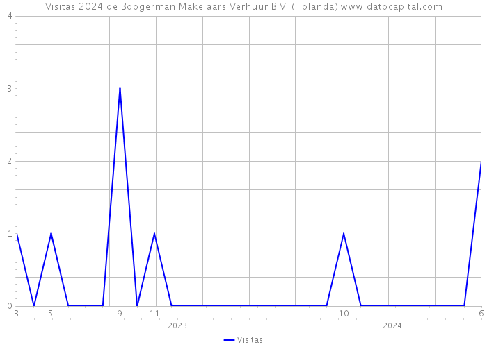 Visitas 2024 de Boogerman Makelaars Verhuur B.V. (Holanda) 