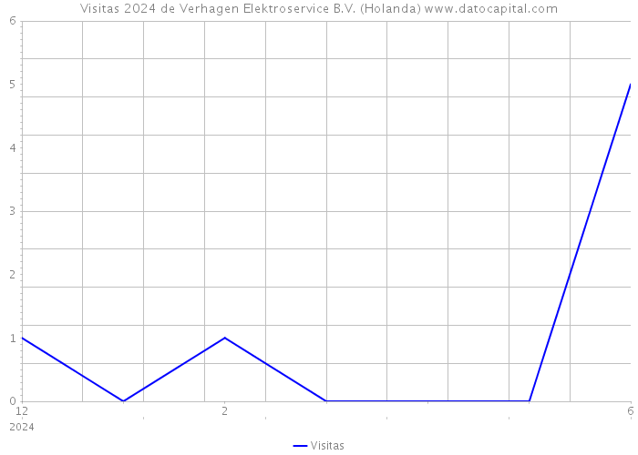 Visitas 2024 de Verhagen Elektroservice B.V. (Holanda) 
