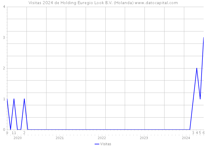 Visitas 2024 de Holding Euregio Look B.V. (Holanda) 