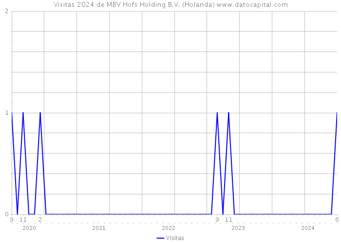 Visitas 2024 de MBV Hofs Holding B.V. (Holanda) 