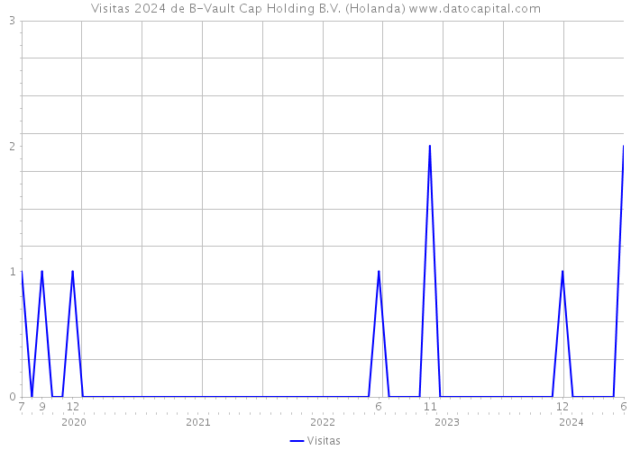Visitas 2024 de B-Vault Cap Holding B.V. (Holanda) 