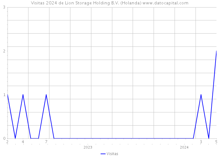 Visitas 2024 de Lion Storage Holding B.V. (Holanda) 
