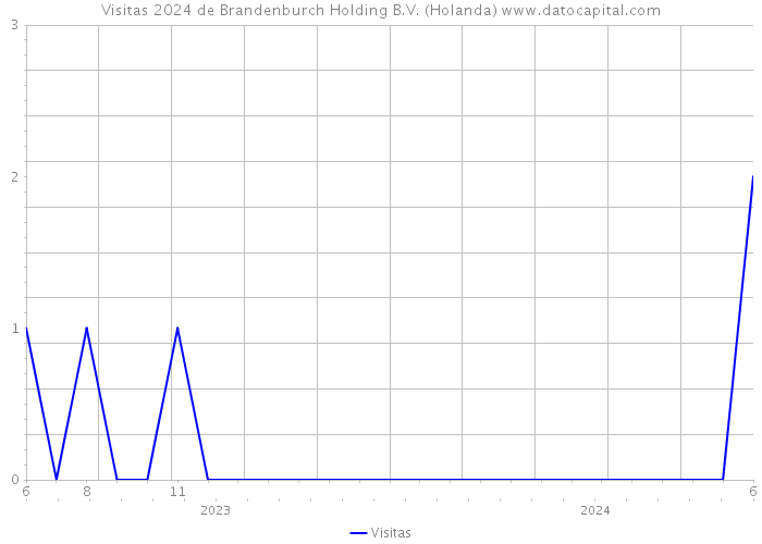 Visitas 2024 de Brandenburch Holding B.V. (Holanda) 