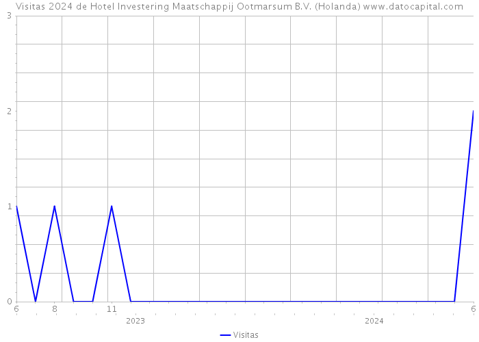 Visitas 2024 de Hotel Investering Maatschappij Ootmarsum B.V. (Holanda) 