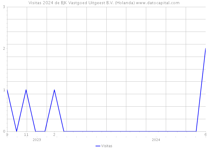 Visitas 2024 de BJK Vastgoed Uitgeest B.V. (Holanda) 