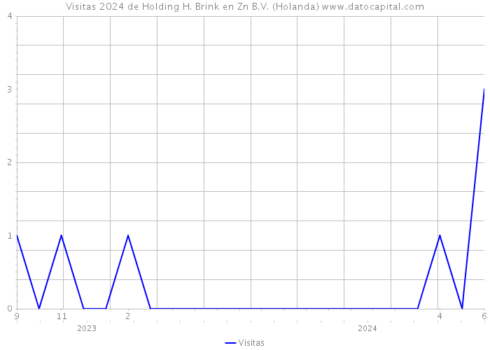 Visitas 2024 de Holding H. Brink en Zn B.V. (Holanda) 