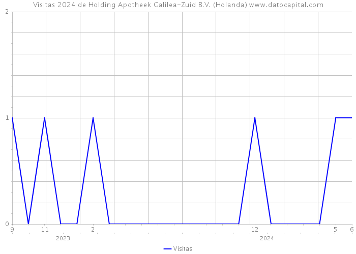 Visitas 2024 de Holding Apotheek Galilea-Zuid B.V. (Holanda) 