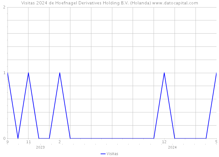 Visitas 2024 de Hoefnagel Derivatives Holding B.V. (Holanda) 